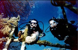 Gary and David