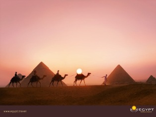 Egypt Pyramids and Camel